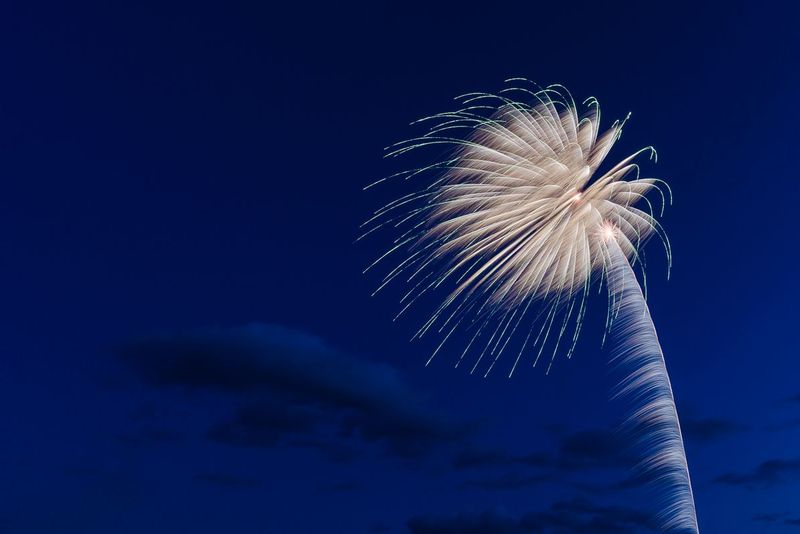 White Palm (DLM_20160409_020_0015_web).jpg