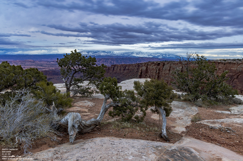 01-01-2023 First Sunrise Long Canyon Rd.jpg :: While the sun never showed it's brilliant burst this year.
It did provide a spectacular light show.
As the darkness of the night reveiled the twisted trees in front of me.
The redness and shapes of the multi layers of canyon's opened up in front of me.
The snow capped mountain in the distance.
The horizon to the left the darkness and fury of a winter storm and to the right the sunrise unable penetrate the thick cloud cover but able to cast it's brilliance to the scene this fantastic New Year's Morning .