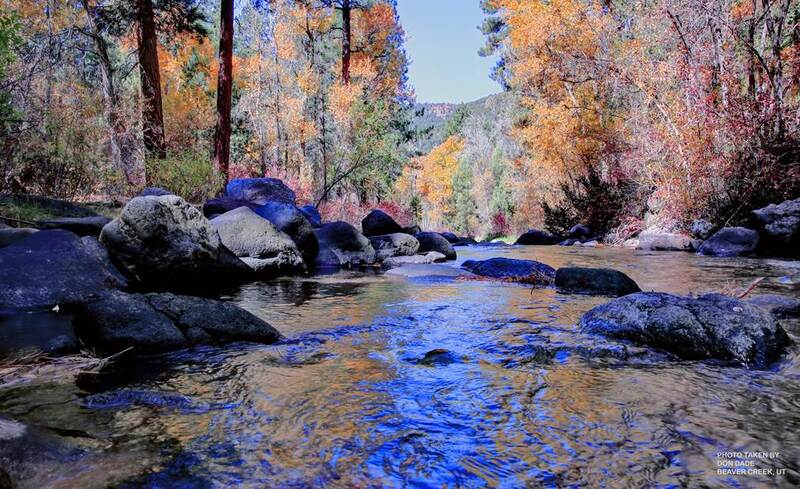 06_Ponderosa1.jpg