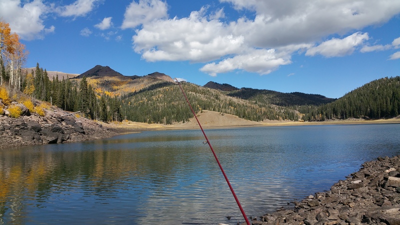 10_Puffer 20151011_144242.jpg