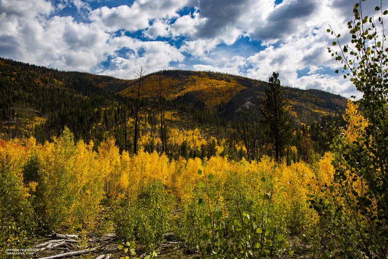 18_Indian Creek-3.jpg