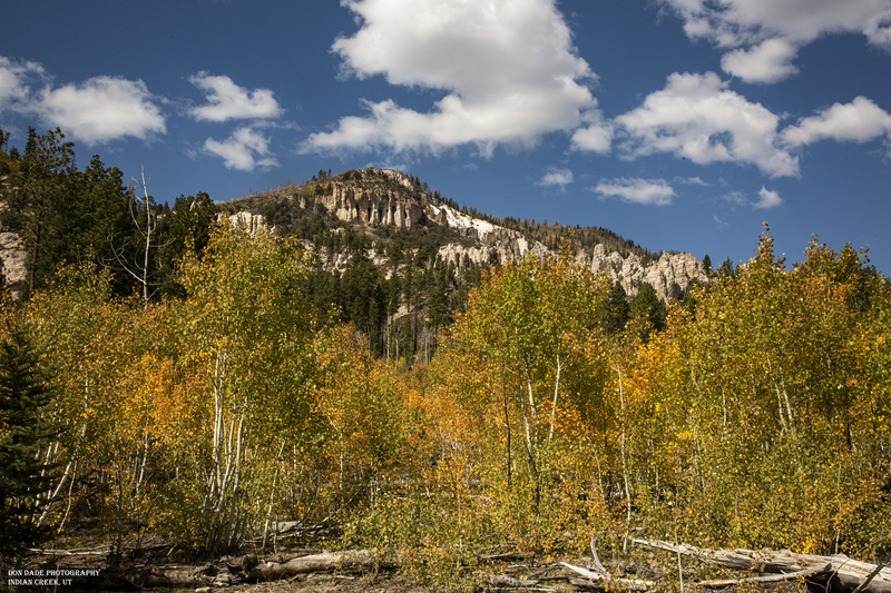18_Indian Creek4.jpg
