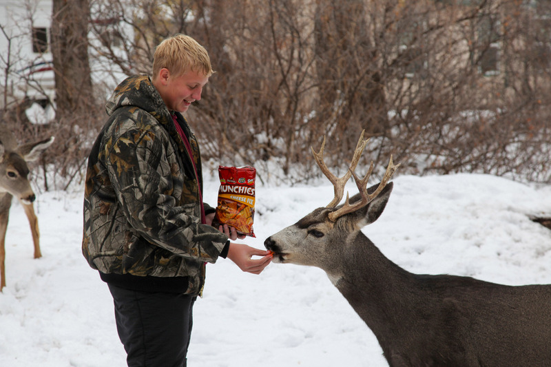 2000 10 29 The Munchies.jpg :: The Munchies