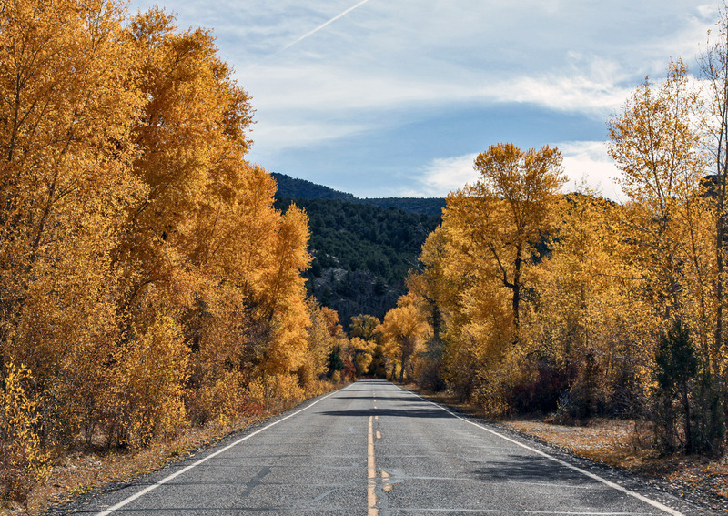 2009 10 17 Yellow Road.jpg