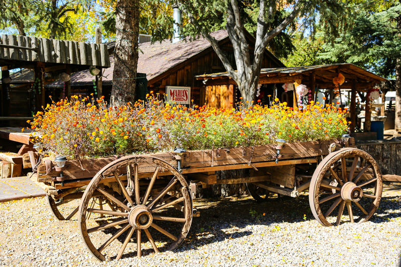 2015 10 31 Marias Wagon.jpg