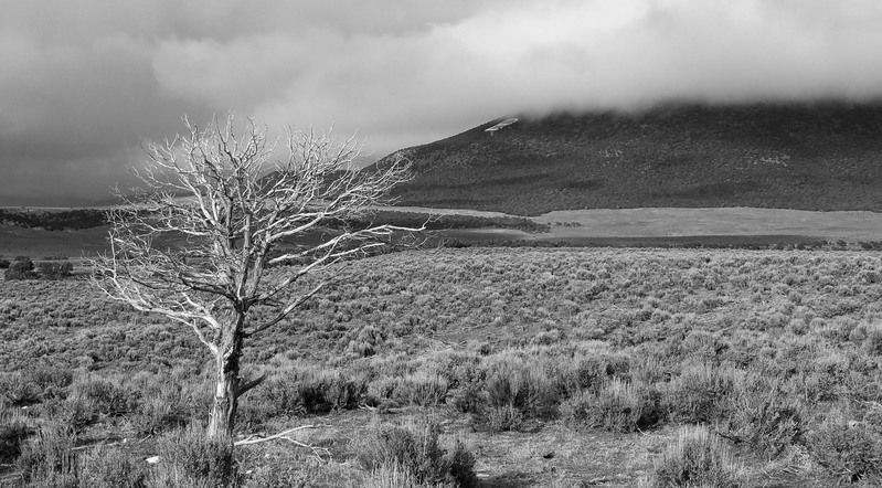 2017 03 26 Beaver Bench BW.jpg
