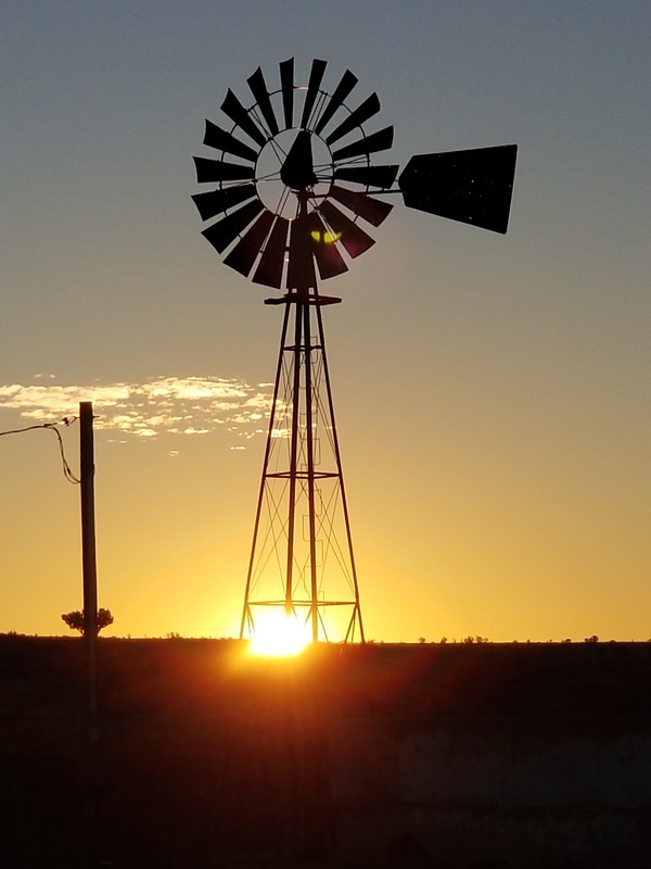 20201102_064046.jpg
