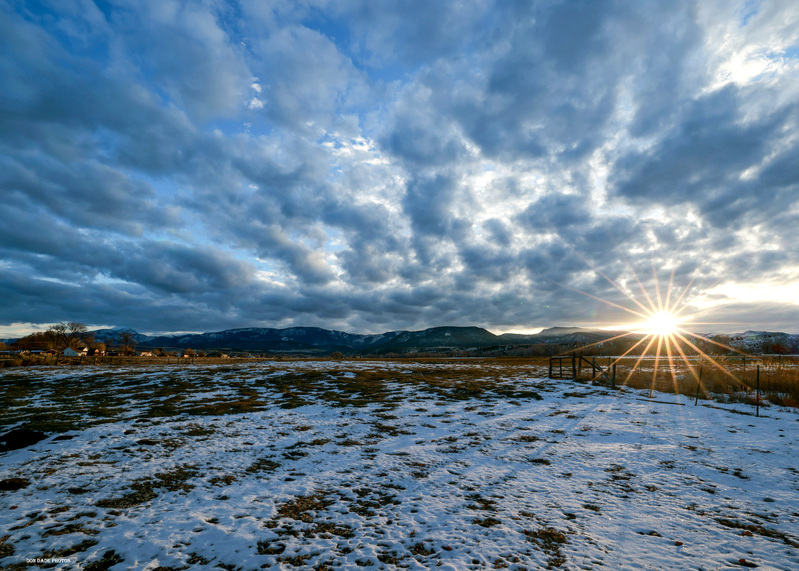 20231129 Backyard Sunrise.jpg