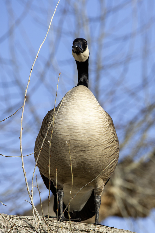2024 02 24 Branch Manager.jpg