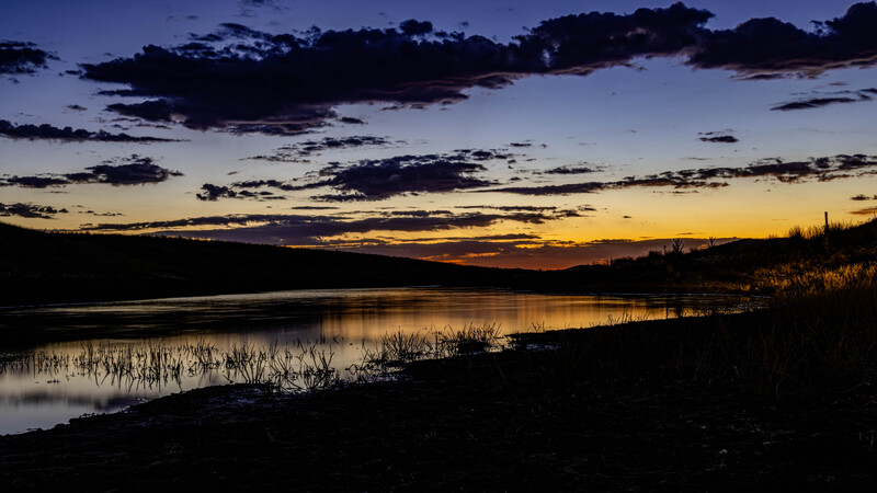 2024 06 11 Cove Fort Pond.jpg