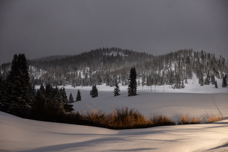 2025 03 14 Moonlight Merchant Valley Meadows.jpg