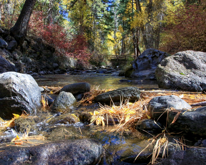 C72 -  2016 10 08 Ponderosa.jpg