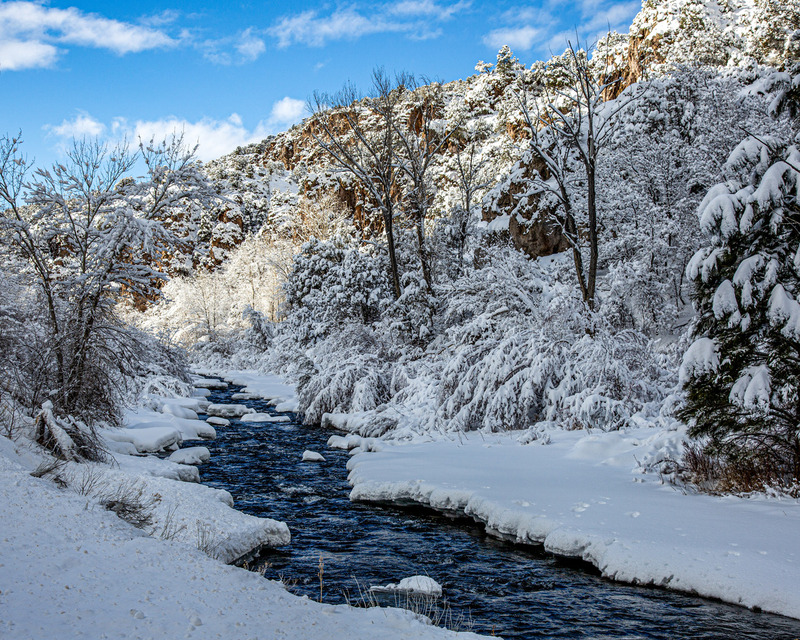C95 -  2016 12 25 Beaver Christmas 2 .jpg