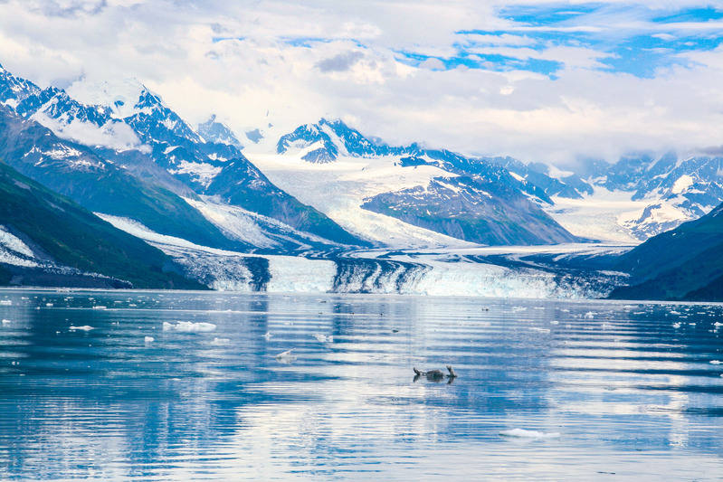 College Fjord 2007.jpg
