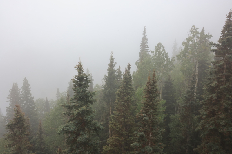 DDL_5488.jpg