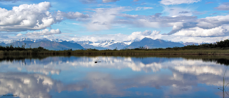 Denali Highway McLaren Summit.jpg :: In a pristine land far away
A time never forgotten.
Along the Denali Highway
There is a place where the mirror of the sky touches the lake.
And the mountains touch the sky.
And in between the dragon fly’s fly.
