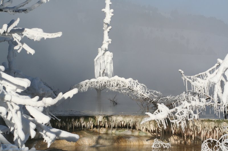 E Wyoming Yellowstone Mammoth Hot Springs LS 080101 (23).jpg