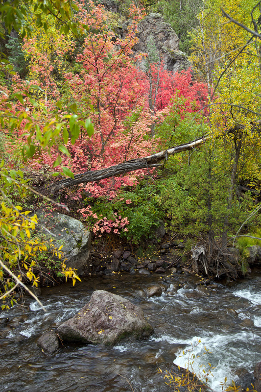 Fall at Beaver Creek 2.jpg