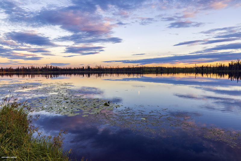 Fort Nelson Lillypad Sunset.jpg