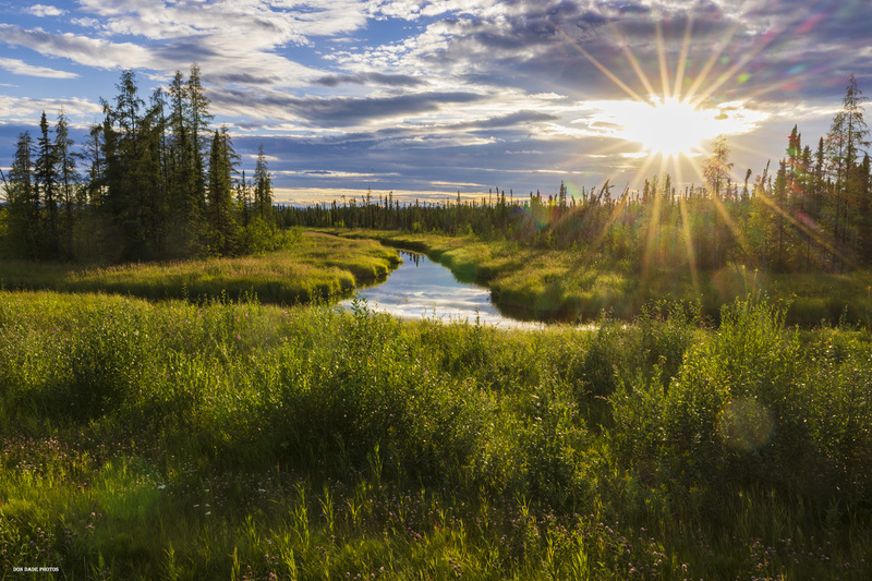 Goguka Creek Provincial Park Sunset.jpg :: The day was coming to a close as I drove up Highway 97 towards Fort Nelson British Columbia
I could not help but stop to enjoy the scenery of the clouds reflecting off the merging creek.
The lush green grass surrounding it's banks.
With clover and purple wildflowers providing a colorful accent
The afternoon sun breaks through the clouds casting shadows of the pine trees across the grass.
I walked closer to the water's edge and I was startled by a loud splash.
I had come too close to a Beaver that was sitting at the bank.
As the beating of my heart slowed, I watched him swim away through the calm cool water
