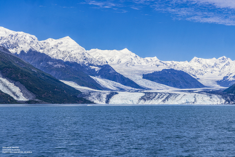 Harvard Glacier.jpg