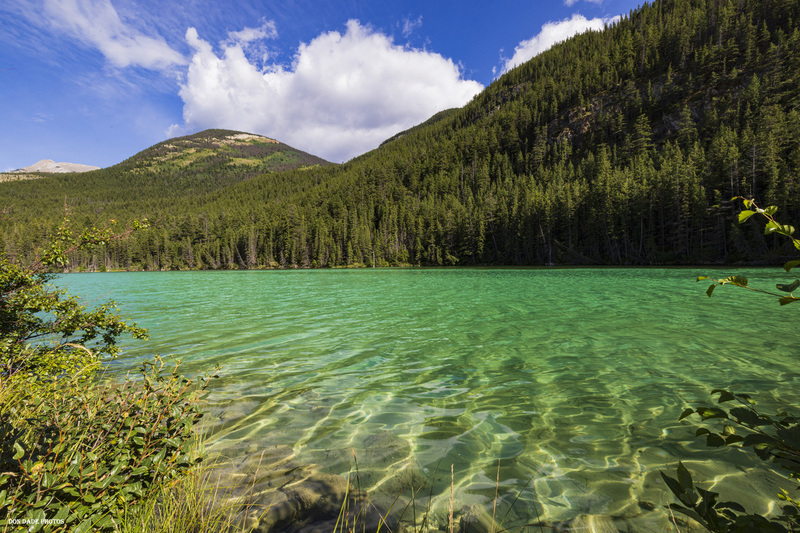 Jasper Lake.jpg :: The crystal-clear emerald, green water of Jasper Lake near Hinton Canada made me take a pause.
This shimmering of the light reflecting on the floor of the lake was mesmerizing and could be seen from one shore to the other.