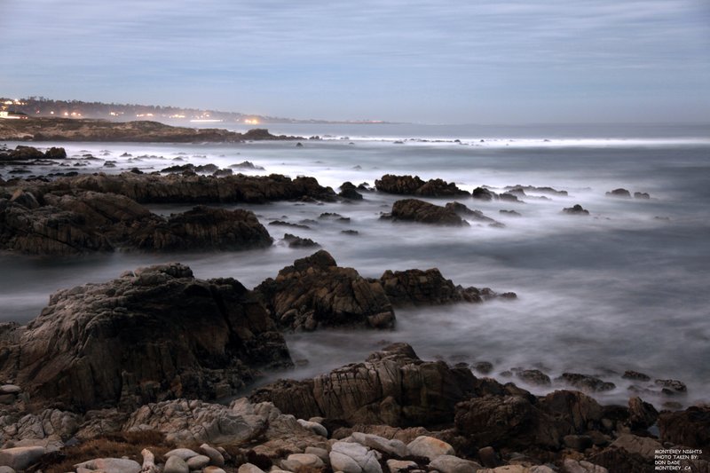 Monterey Nights.jpg