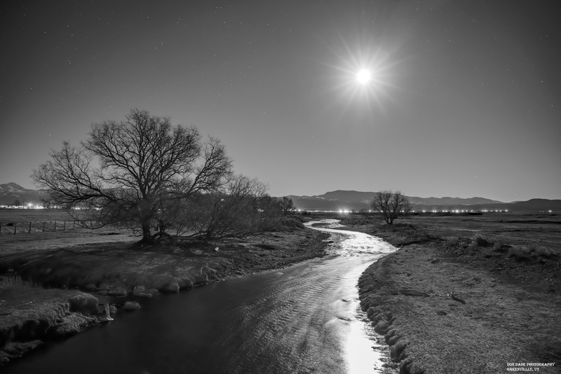 Moon Over Greenville BW.jpg