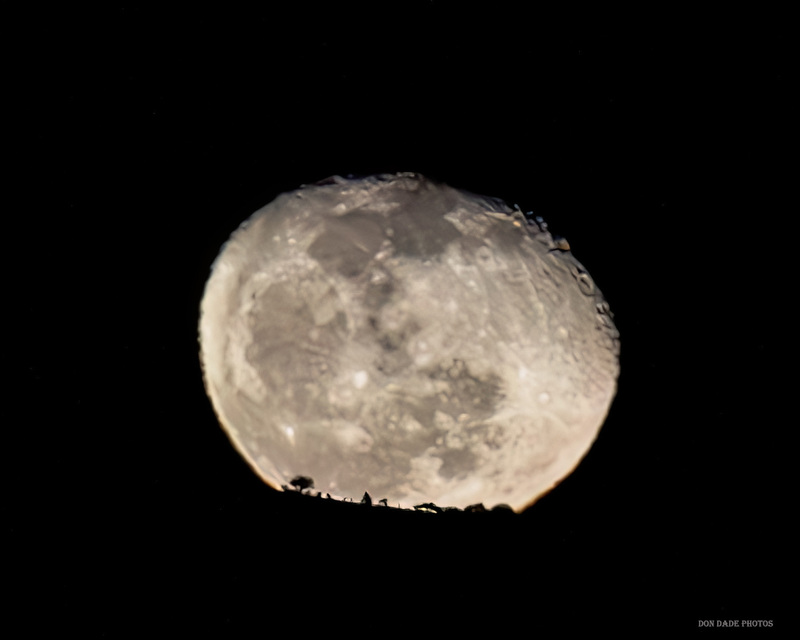 Moonrise.jpg