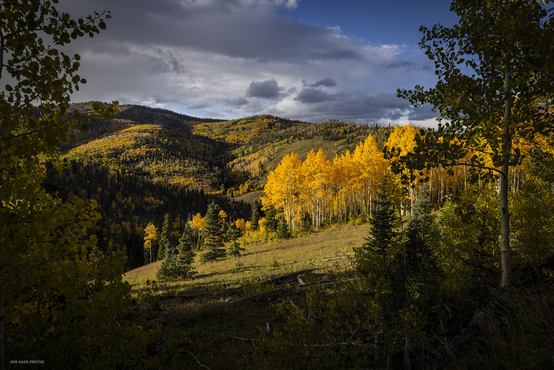 Natures Window.jpg :: Gazing out at Natures Window
As the afternoon sun settles into the western sky.
The layers of color and shadows across the landscape.
Defining the mountain ridges and valleys adding depth to the window in front of me.
The connections of the fall blooming Aspens seen vividly as they swirl up the mountain.
A starch contrast to the evergreens in their midst
casting their shadows across the grass pastures flowing up the hillsides.  
The grey storm clouds making their way across the blue sky.
Creating a stunning view to this window in time.
