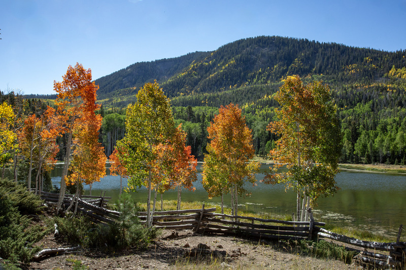 R-  2018 09 15 Tusher 3.jpg