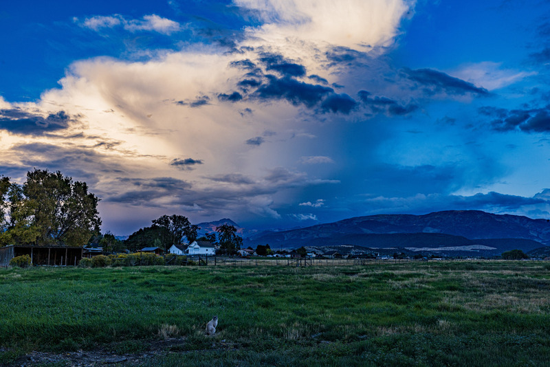 R-  2025 09 28 Backyard Wild Sky 3.jpg