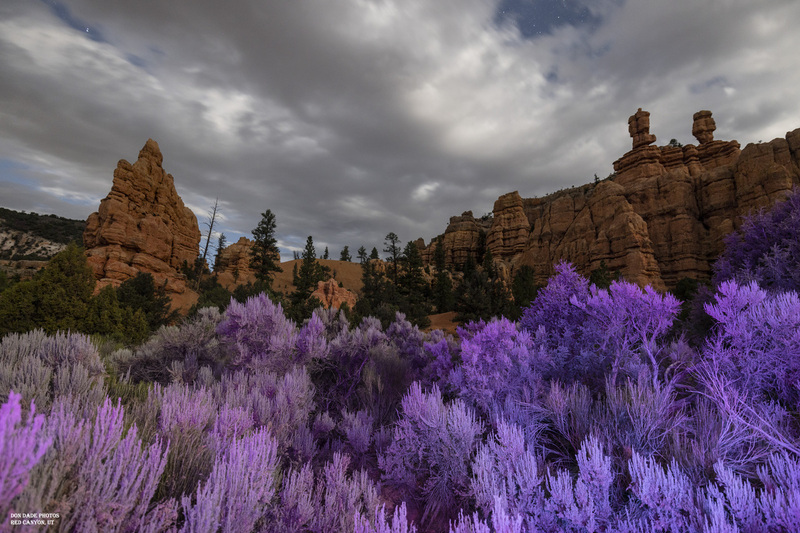 Red Canyon Magenta Midnight.jpg