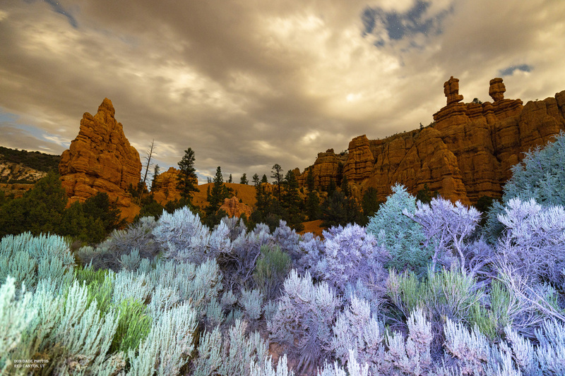Red Canyon Midnight.jpg