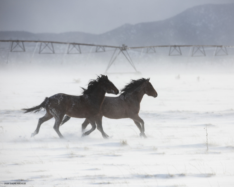 Running in the Elements.jpg