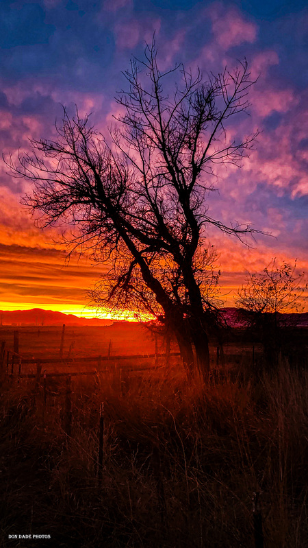 Sunset Sculpture(1).jpg