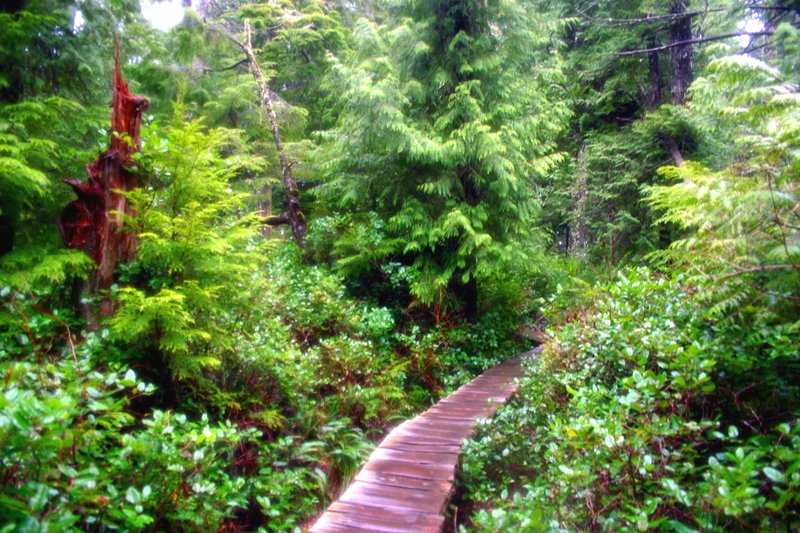 Washington Cape Flattery 020_20 (21).jpg