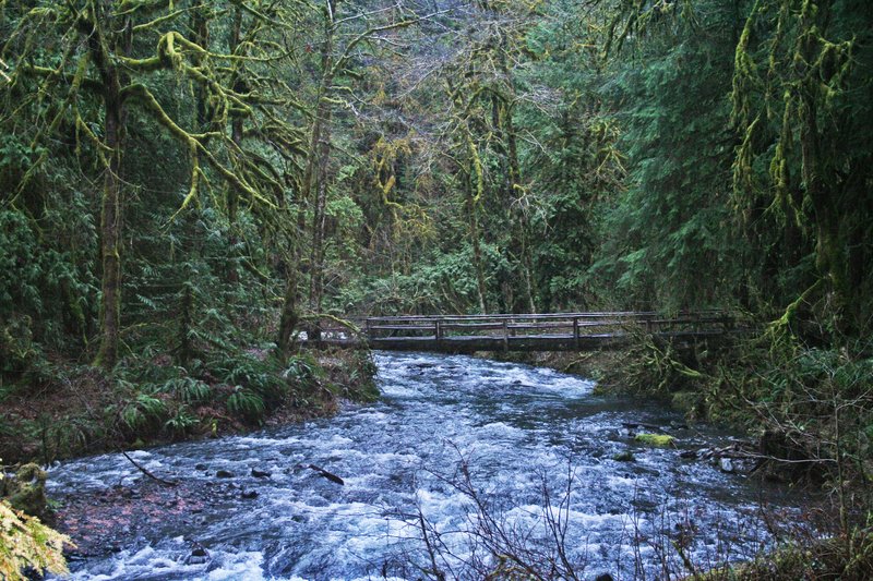 Washington MARYMERE-FALLS2.jpg