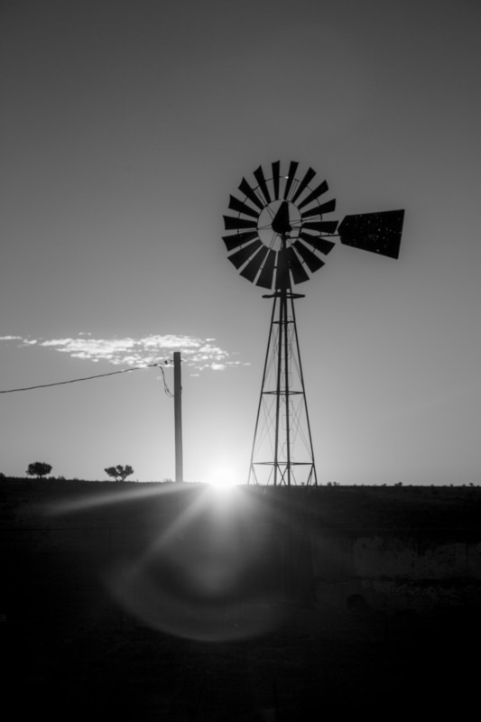 Western Windmill Gallop NM.jpg