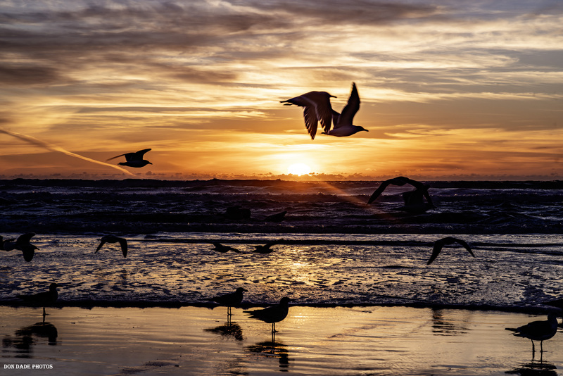 Winged Sunset.jpg