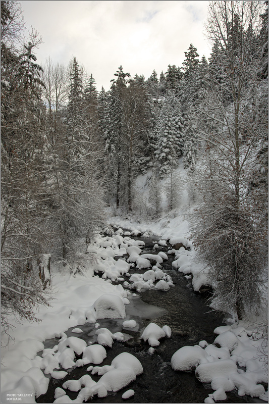 Winter Wonderland.jpg