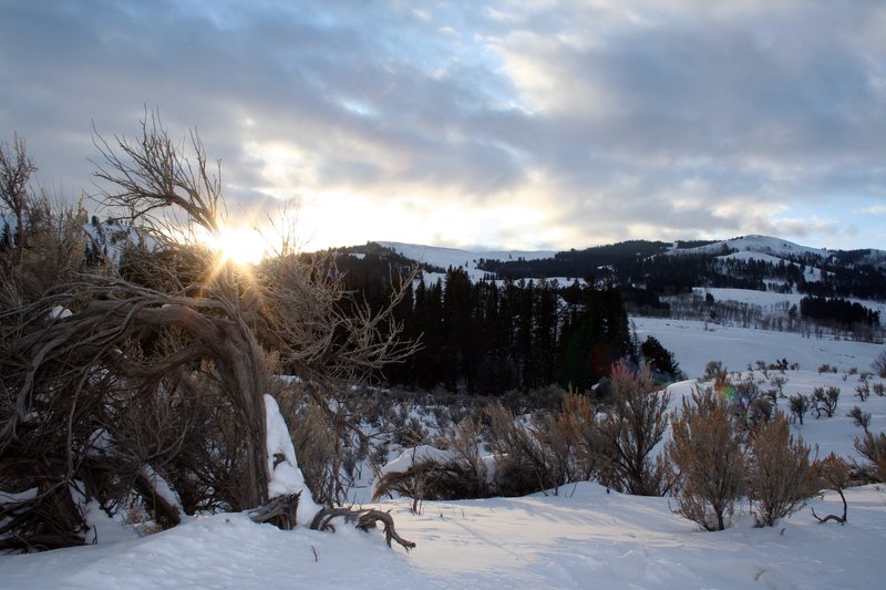 Wyoming Yellowsone SUNRISE 269 (5).jpg