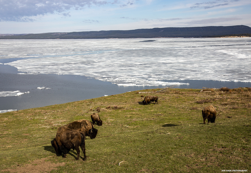 Yellowstone Lake(1).jpg