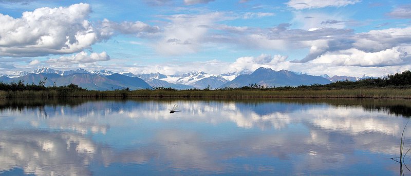Alaska Denali Highway LS 070728 (85)A.jpg