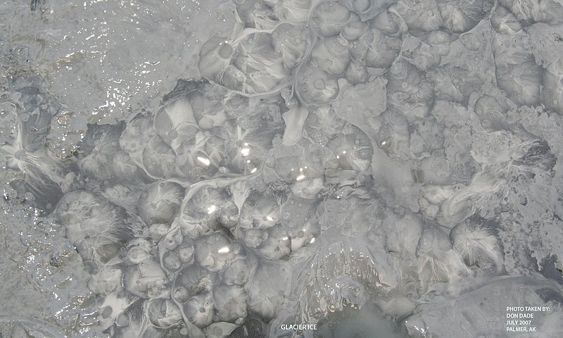 Alaska Matanuska Glacier LS 070729 (105).jpg
