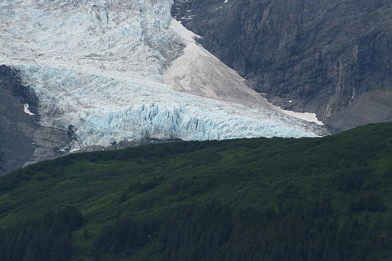 Alaska Prince William Sound LS 070726 (220).jpg