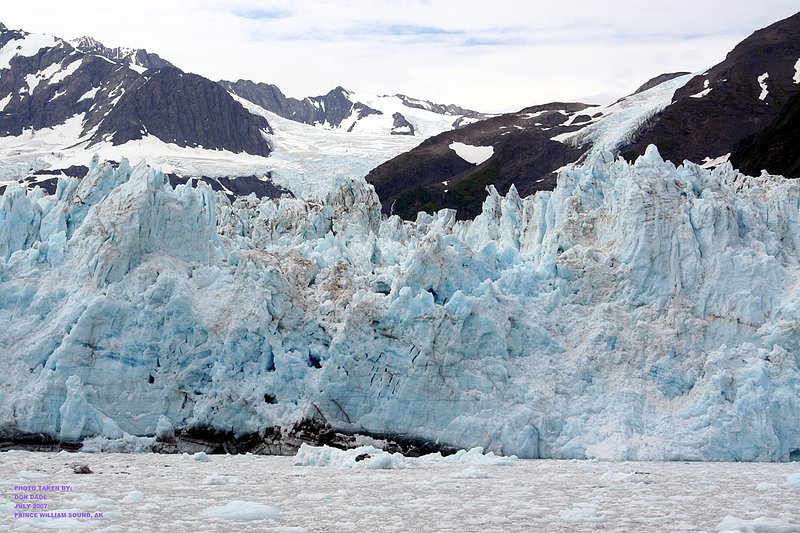 Alaska Prince William Sound LS 070726 (328).jpg