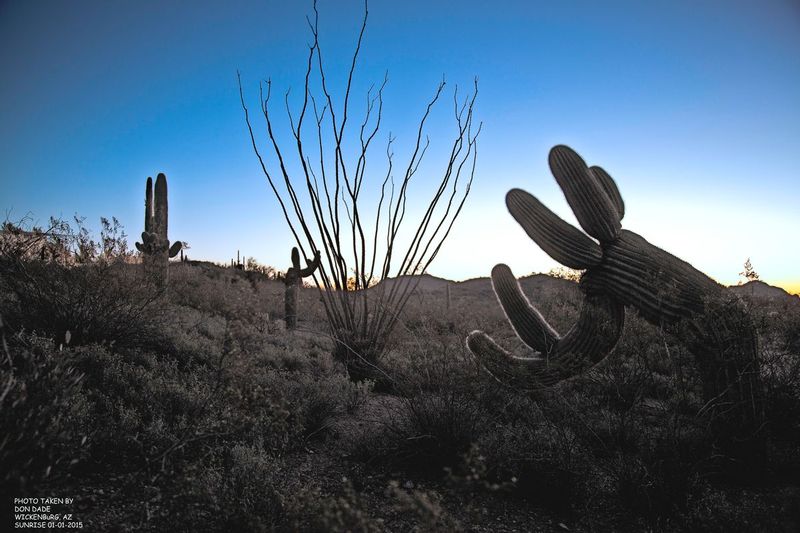 01-01-2015 First Sunrise Wickenburg Arizona-3.jpg