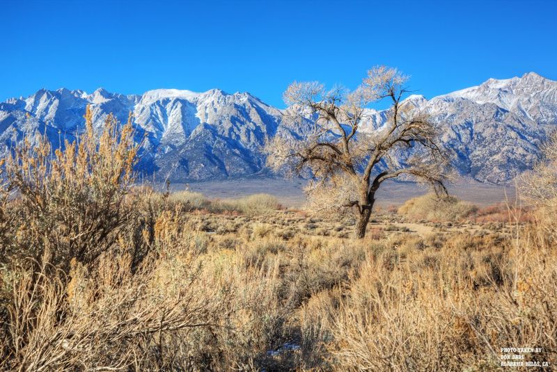 Alabama Hills 3.jpg