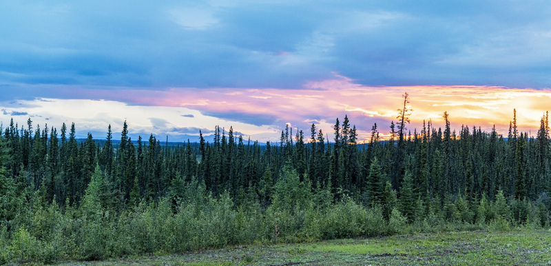 Alaskan Alcan Sunset.jpg :: A beautiful Alaskan sunset along the Al-Can highway.